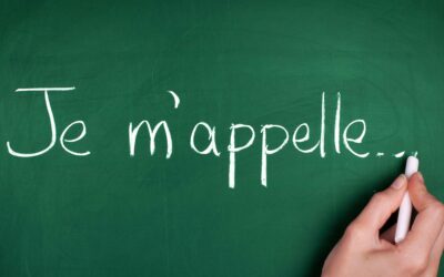 French Language Course in Delhi with Certification & Job Assistance – Onevriksh Study